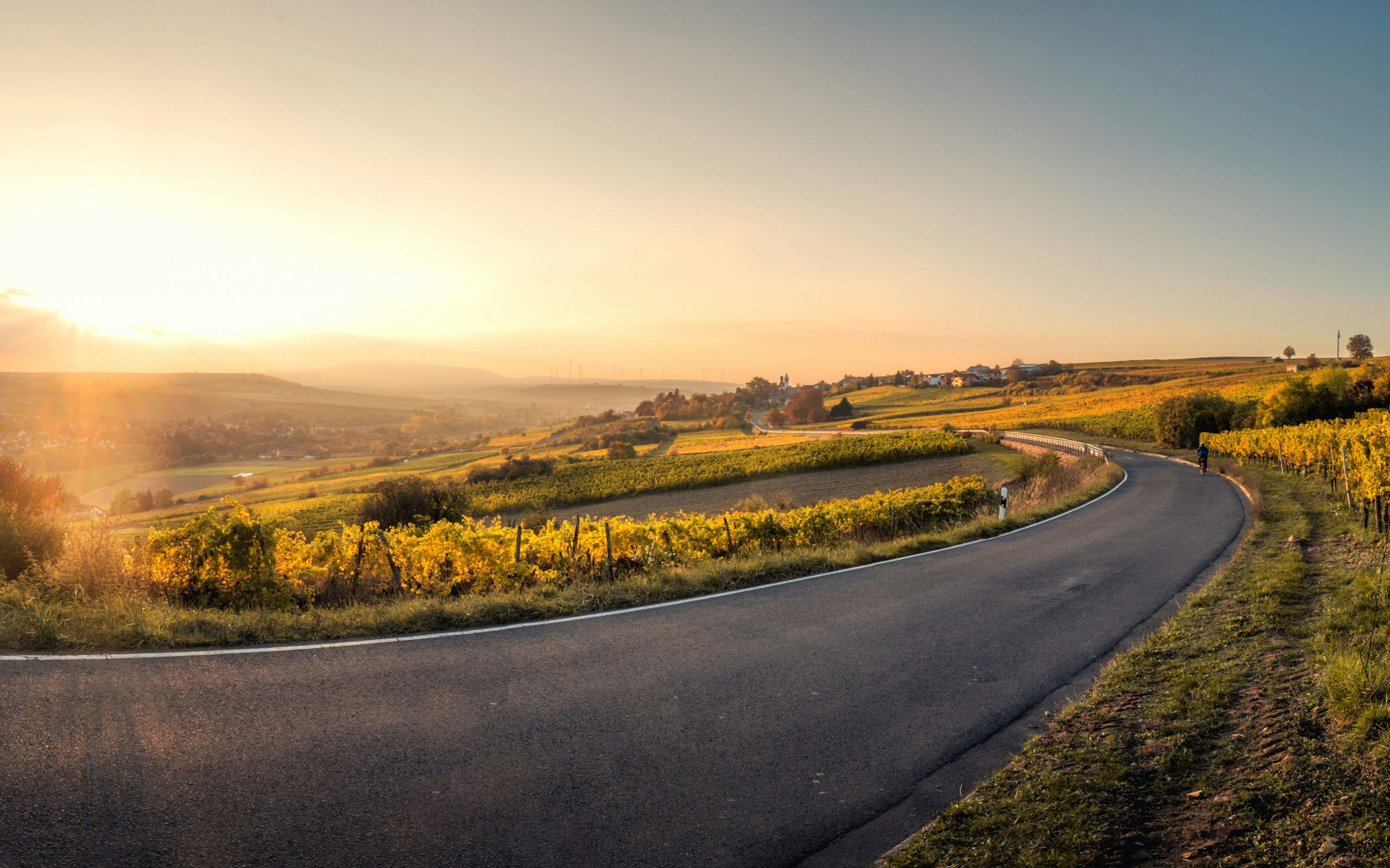 Grafik zur Mobilitätswende auf der Straße. copyright Foto: unsplash.com/Karsten Würth